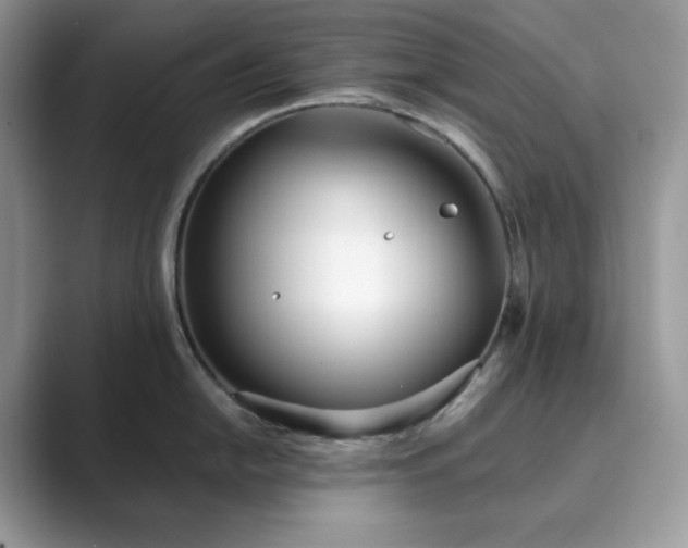 X0000089901054200707051304