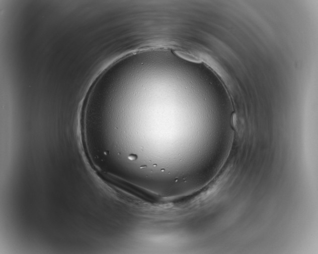 X0000089901055200707051304
