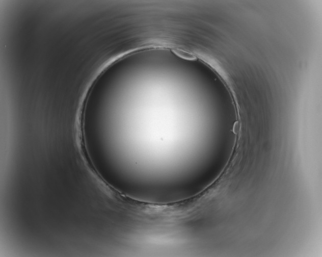 X0000089901056200707051304