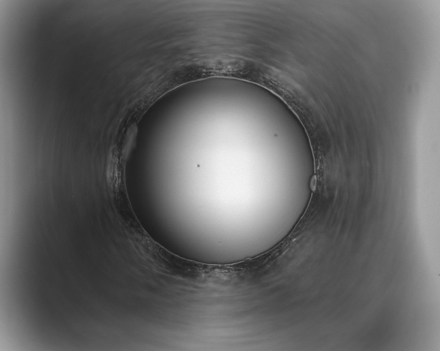 X0000089901058200707051304