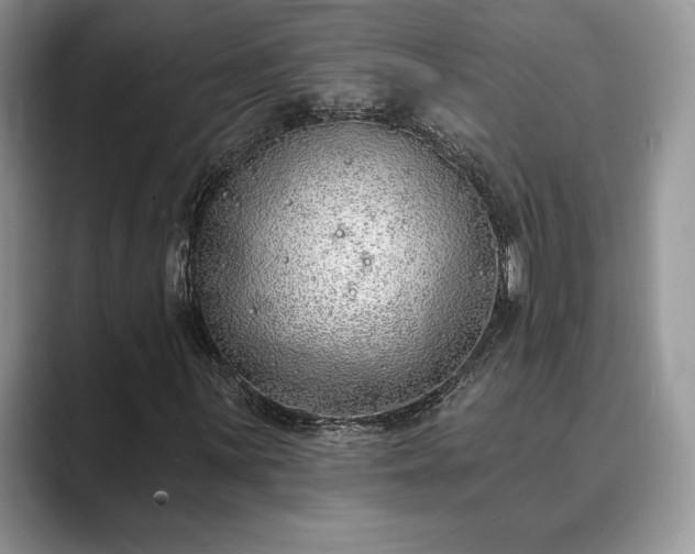X0000089901059200707051304