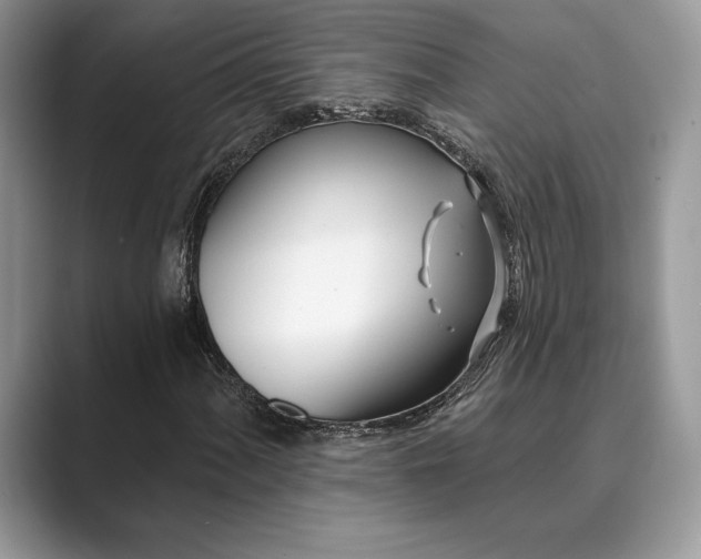 X0000089901060200707051304