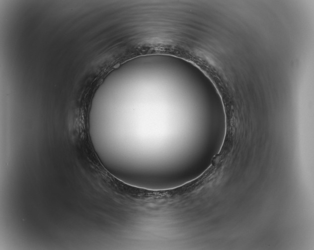 X0000089901062200707051304