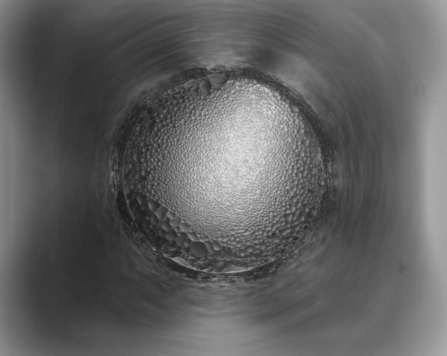 X0000089901063200707051304