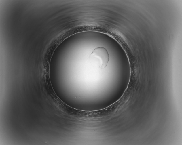 X0000089901064200707051304