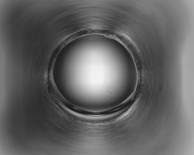 X0000089901065200707051304