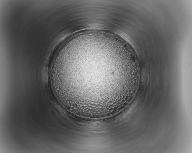 X0000089901067200707051304