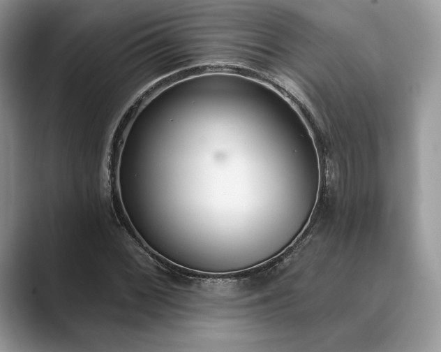 X0000089901068200707051303
