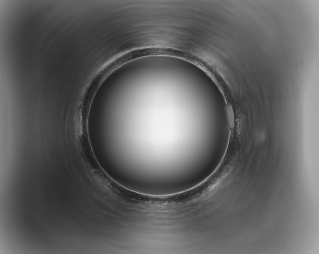 X0000089901069200707051303