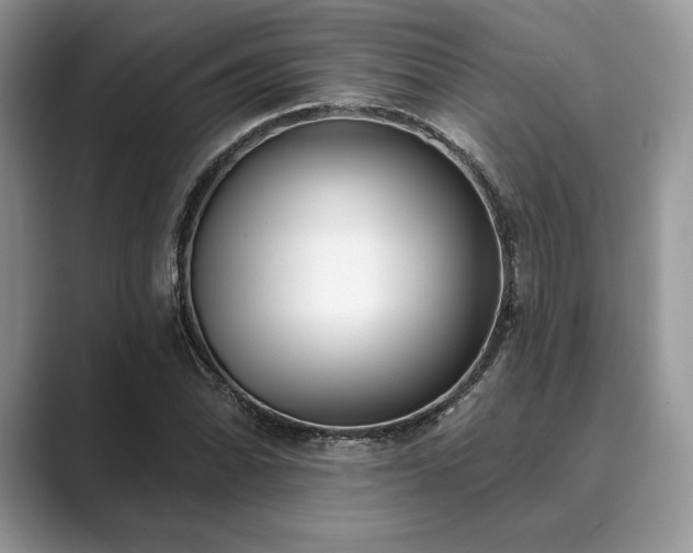 X0000089901070200707051303