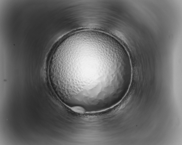 X0000089901071200707051303