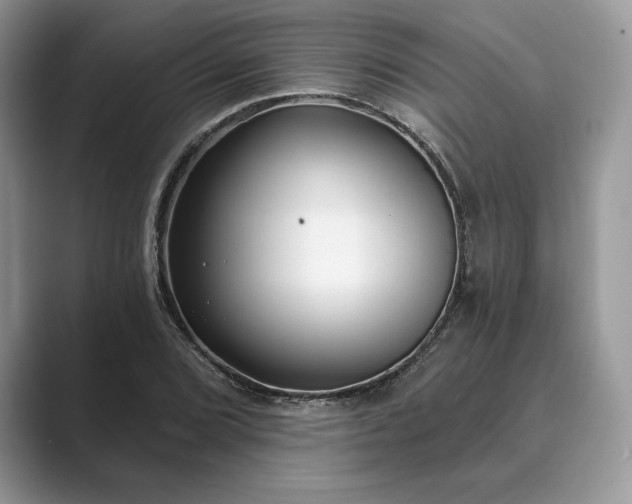 X0000089901072200707051303