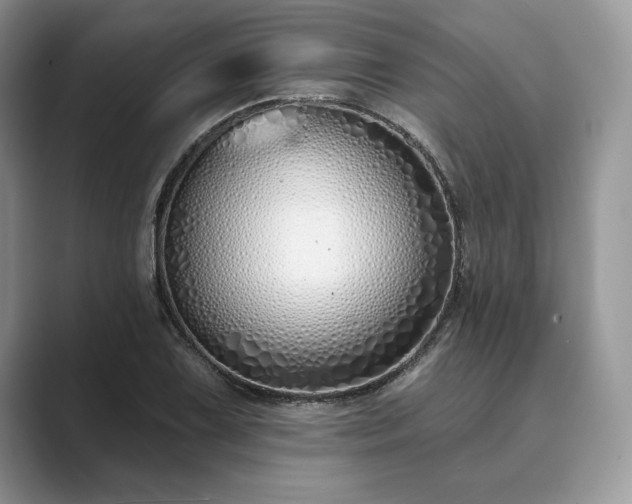 X0000089901075200707051303