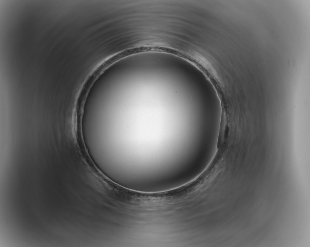 X0000089901076200707051303