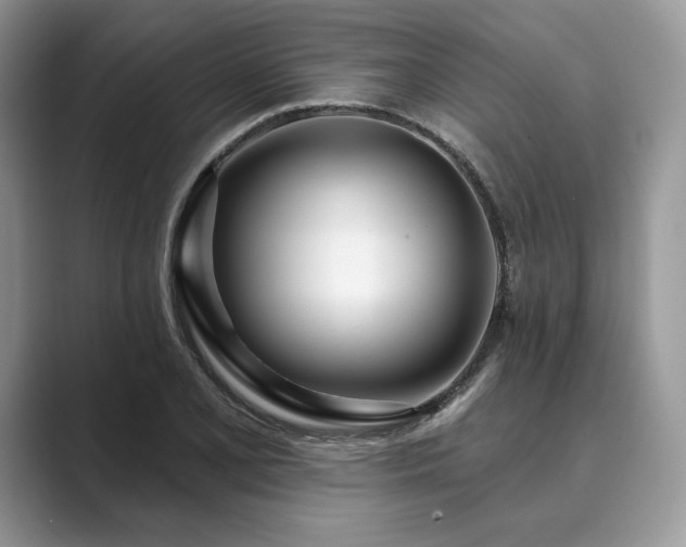 X0000089901077200707051303