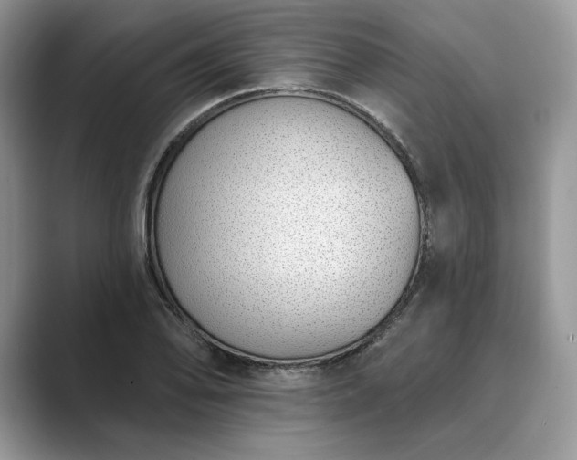 X0000089901078200707051303