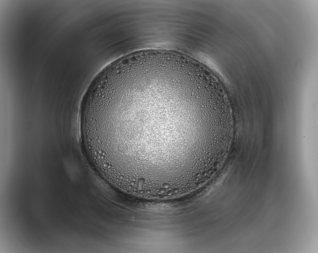 X0000089901079200707051303