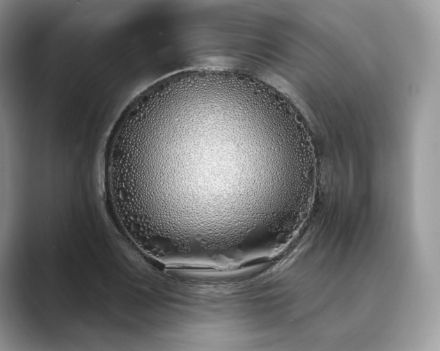 X0000089901083200707051303