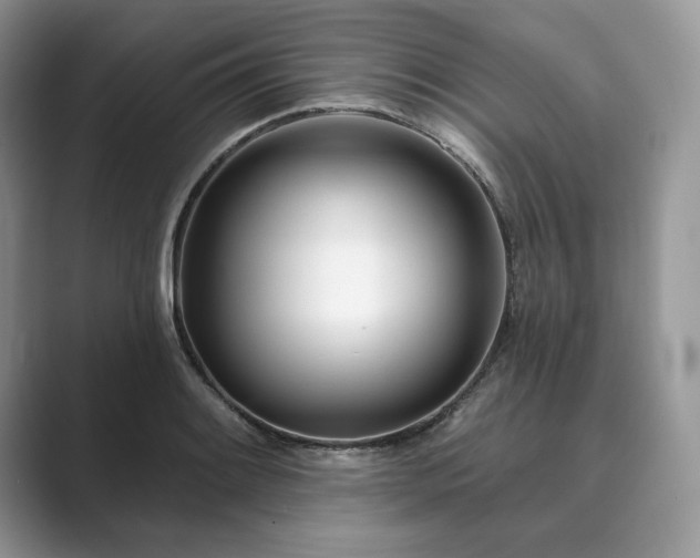 X0000089901084200707051303