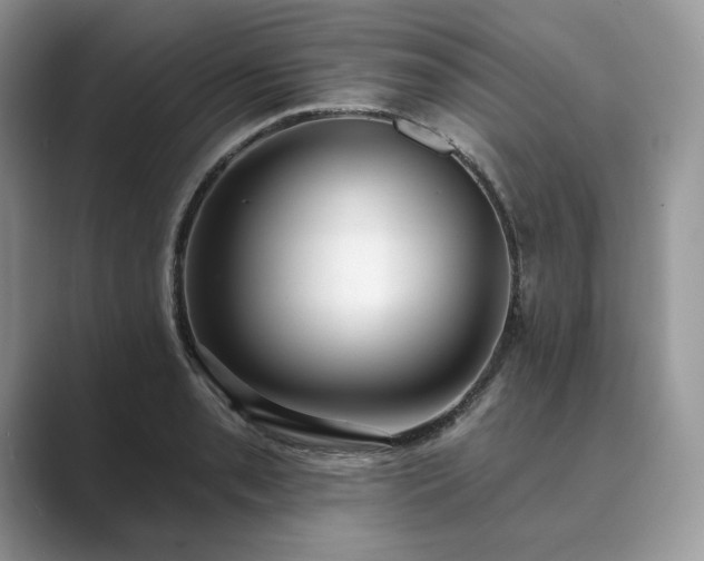 X0000089901085200707051303