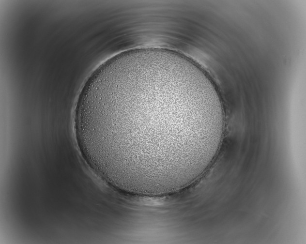 X0000089901086200707051303