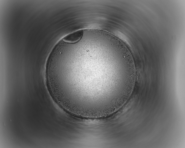 X0000089901087200707051303