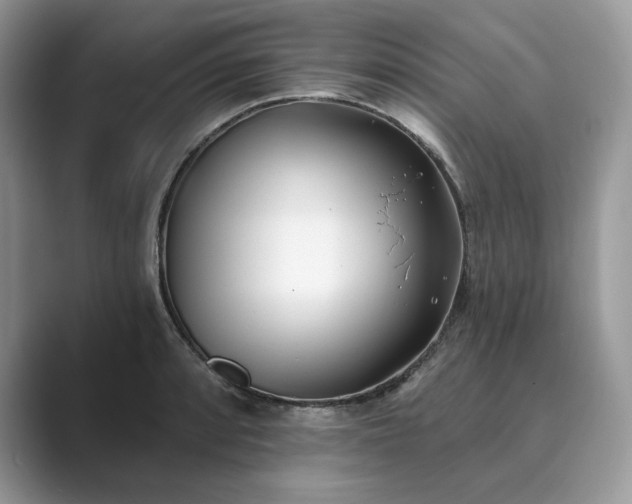 X0000089901088200707051303