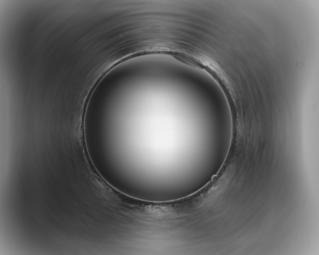 X0000089901089200707051303