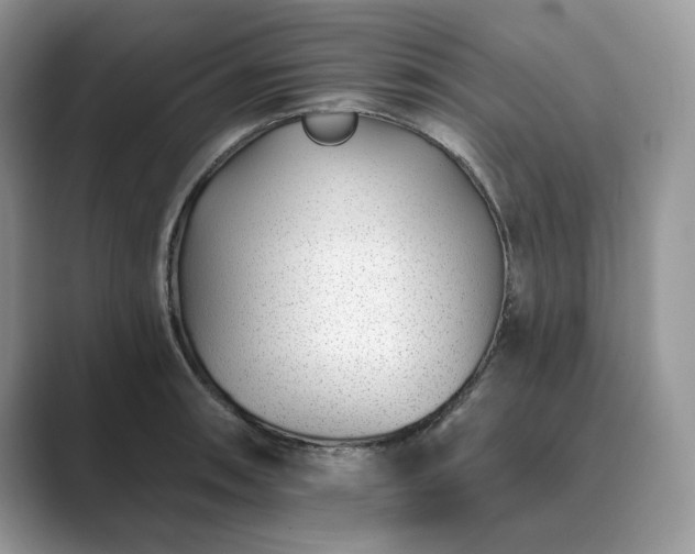 X0000089901090200707051303