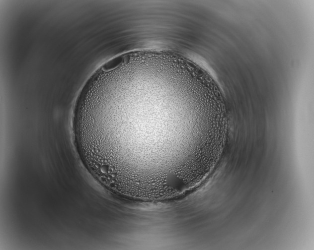 X0000089901091200707051303
