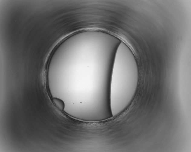 X0000089901092200707051303