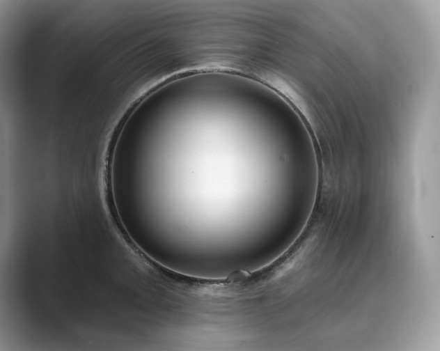 X0000089901093200707051303