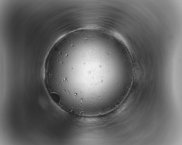 X0000089901095200707051303