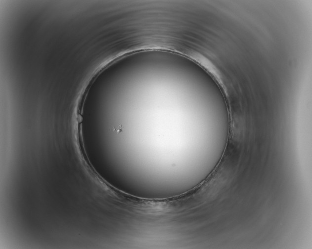 X0000089901096200707051303