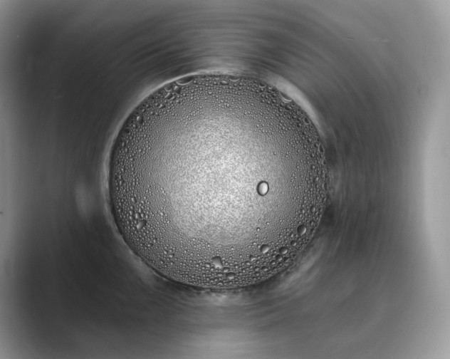 X0000089901099200707051303