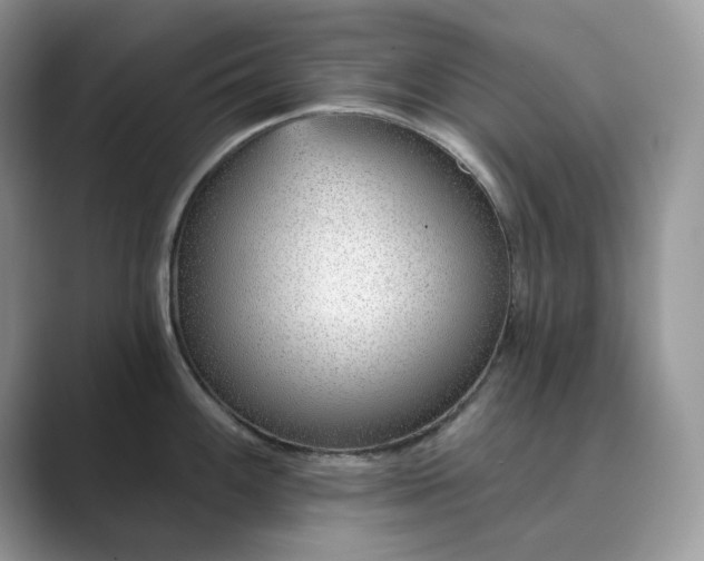 X0000089901100200707051303