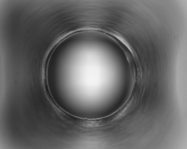 X0000089901101200707051303