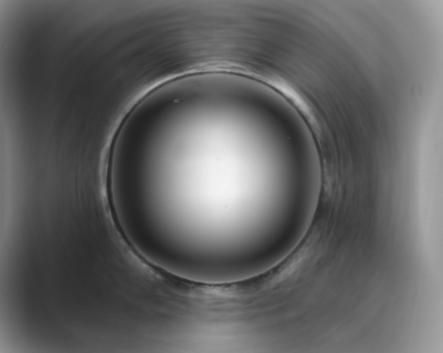 X0000089901102200707051303