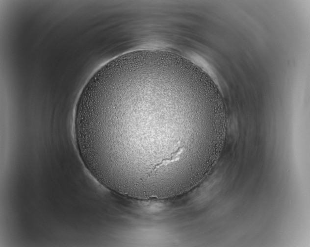 X0000089901103200707051303