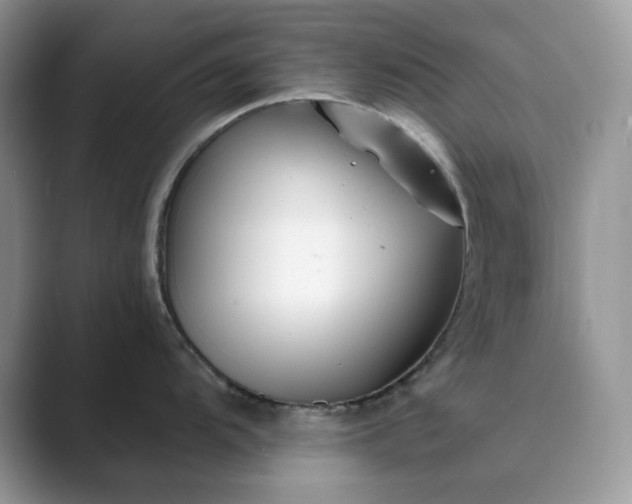 X0000089901104200707051303