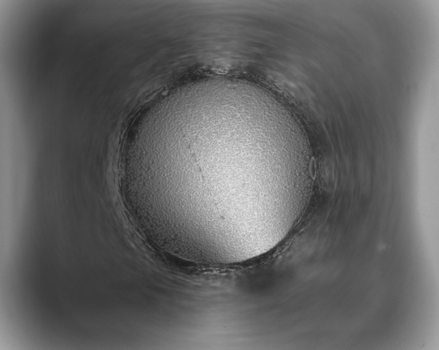 X0000089901105200707051302