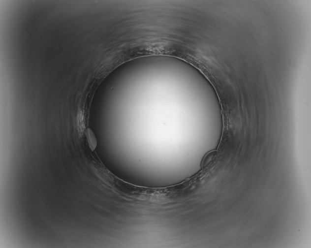 X0000089901106200707051303