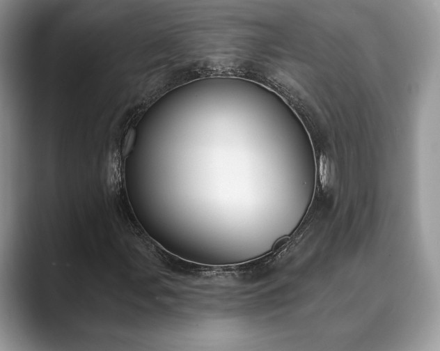 X0000089901107200707051303