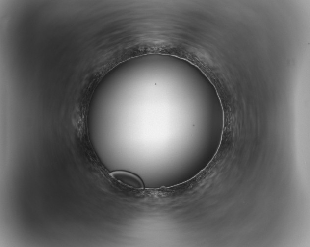 X0000089901109200707051303