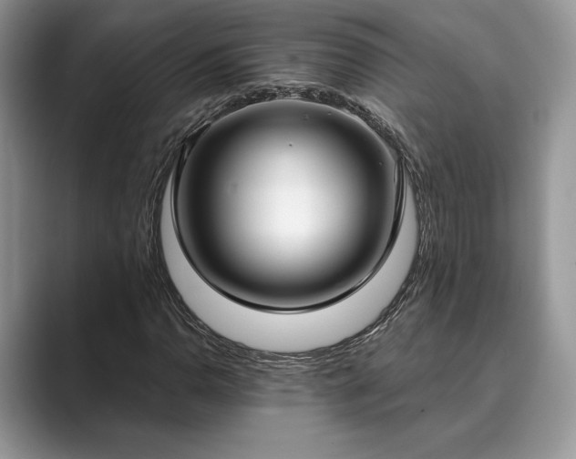 X0000089901110200707051303