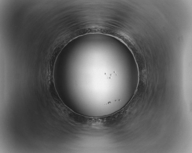 X0000089901111200707051303