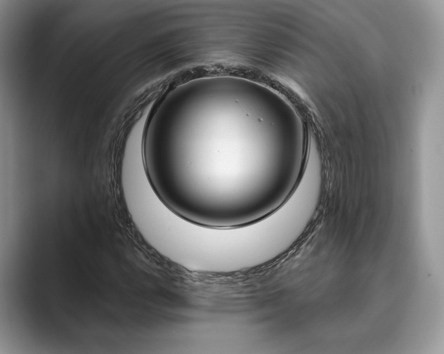 X0000089901112200707051303