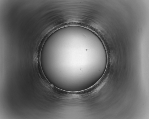 X0000089901113200707051303