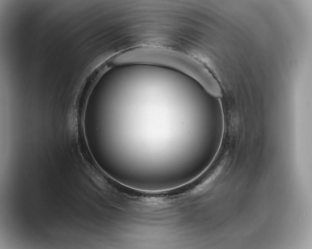 X0000089901114200707051303