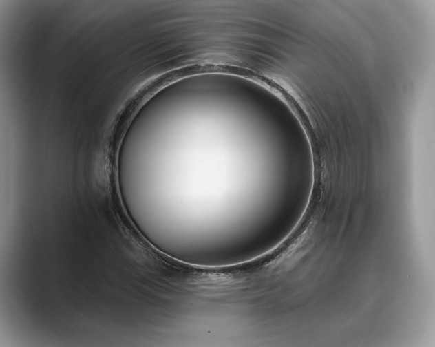 X0000089901115200707051303